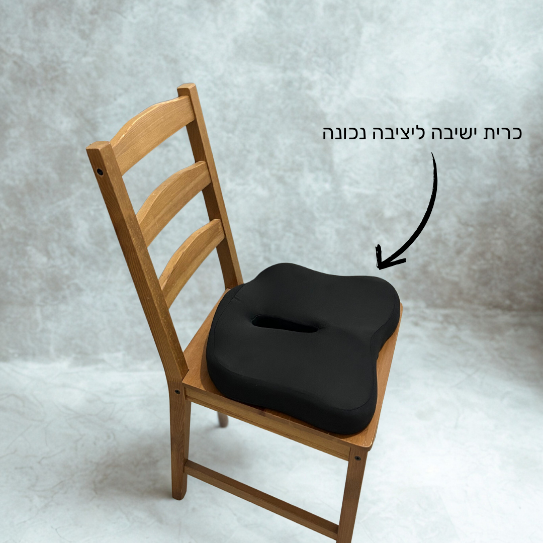 RELAXO DUO – כרית ישיבה + תומך גב